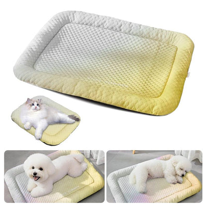 ⏰LAST DAY SALE ONLY￡8.99!!❄Pawchill Pet Cooling Mat for Dogs & Cats 🐾  Naturally Cool Ice-Silk Pad • Breathable, Washable & Soft 🌿  For Floors, Sofas & Car Travel • Multiple Sizes • Gradient Colours ☀️🐶🐱