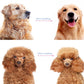 Professional Deshedding Tool For Dogs And Cats – Gentle On Skin, Efficient Grooming & Comfortable Grip Design ✂️