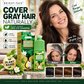 🎁2026 New Arrivals 50% OFF💥Long‑Lasting Plant‑Based Foam Hair Dye｜Ammonia‑Free Easy DIY At‑Home Foam Hair Color