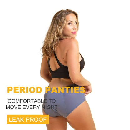 🎁2026 New Arrivals 50% OFF💥2026 Best Seller High Waist Leak proof panties