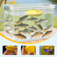 Portable Rechargeable Silent Floating Oxygen Pump