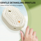 🎁2026 New Arrivals 50% OFF💥Electric hairbrush with spray and massage🔥