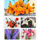 Vibrant Chenille Stems for DIY Crafts