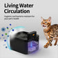 🎁2026 New Arrivals 50% OFF💥Smart Motion-Sensing Cat Water Fountain – Fresh Flowing Water, Only When Your Cat Approaches! | Encourages Drinking, Prevents UTIs 🩺💚