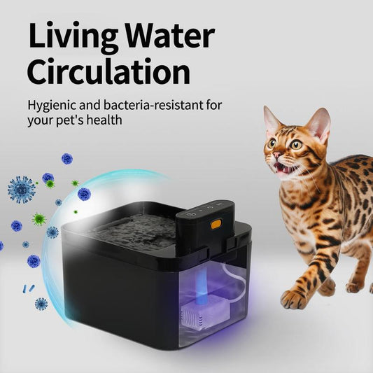 🎁2026 New Arrivals 50% OFF💥Smart Motion-Sensing Cat Water Fountain – Fresh Flowing Water, Only When Your Cat Approaches! | Encourages Drinking, Prevents UTIs 🩺💚