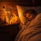 🎁New arrival 50% OFF💥Cute Highland Cow Night Light