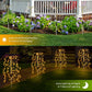 🎁2026 New Arrivals 50% OFF💥Solar Garden Lights Outdoor Decor – 100 LEDs, IP55 Waterproof, Easy Install 🌙