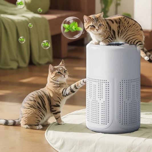 🎁2026 New Arrivals 50% OFF💥Home Air Purifier – Multi-Layer Filter, Quiet, Energy-Efficient 🌱