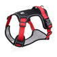 🎁2026 New Arrivals 50% OFF💥🐶 LED No-Pull Dog Harness Kit with Leash – Safer, More Comfortable Walks Day & Night