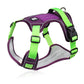 🎁2026 New Arrivals 50% OFF💥🐶 LED No-Pull Dog Harness Kit with Leash – Safer, More Comfortable Walks Day & Night