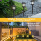 🔥LIMITED-TIME 50% OFF!✨Outdoor Waterproof Solar Pathway Light - 2 Pack/Set