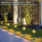 🔥LIMITED-TIME 50% OFF!✨Outdoor Waterproof Solar Pathway Light - 2 Pack/Set