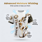 🎁2026 New Arrivals 50% OFF💥Men's Lion Graphic Set – Bold, Breathable, Urban Cool 😎