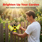 🎁2026 New Arrivals 50% OFF💥 3D Insect Wall Hangings – Bee, Butterfly, Ladybug, Weather-Resistant