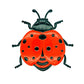 🎁2026 New Arrivals 50% OFF💥 3D Insect Wall Hangings – Bee, Butterfly, Ladybug, Weather-Resistant