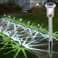 🎁2026 New Arrivals 50% OFF💥6-Pack Solar Landscape Lights – Waterproof, Auto-On, Easy Install 🌙