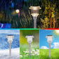 🎁2026 New Arrivals 50% OFF💥6-Pack Solar Landscape Lights – Waterproof, Auto-On, Easy Install 🌙