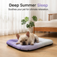 🎁2026 New Arrivals 50% OFF💥Cooling Gel Mat for Pets Summer Heat Relief Pad Breathable Non-Toxic Cool Sleeping Mat for Dogs Cats