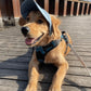 🎁2026 New Arrivals 50% OFF💥Dog Sun Hat with Wide Brim – UV protection & breathable – Adjustable strap, perfect for summer walks or beach trips – keeps your pet cool and safe 🐶🌊✨