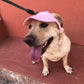 🎁2026 New Arrivals 50% OFF💥Dog Sun Hat with Wide Brim – UV protection & breathable – Adjustable strap, perfect for summer walks or beach trips – keeps your pet cool and safe 🐶🌊✨