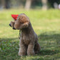 🎁2026 New Arrivals 50% OFF💥Dog Sun Hat with Wide Brim – UV protection & breathable – Adjustable strap, perfect for summer walks or beach trips – keeps your pet cool and safe 🐶🌊✨
