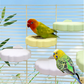 🎁2026 New Arrivals 50% OFF💥Cute Cloud-Shaped Bird Perch Platform