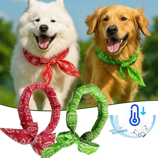 🎁2026 New Arrivals 50% OFF💥Summer Pet Cooling Collar Wrap
