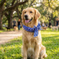 🎁2026 New Arrivals 50% OFF💥Summer Pet Cooling Collar Wrap