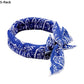 🎁2026 New Arrivals 50% OFF💥Summer Pet Cooling Collar Wrap