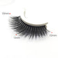 🎁2026 New Arrivals 50% OFF💥Reusable Self‑Adhesive False Eyelashes – No glue, natural curl & easy removal – Press & go for effortless beauty 💕