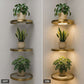 🎁2026 New Arrivals 50% OFF💥Floating Wall Shelf with Built-in Ambient LED Light🪴🛋️