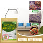 🎁2026 New Arrivals 50% OFF💥Natural Mite Control Sachet 10-Pack – Plant-Based, Non-Toxic, 60-Day 🌿
