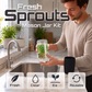 🎁2026 New Arrivals 50% OFF💥Grow Fresh Sprouts At Home – Glass Sprouting Jar Kit With Blackout Sleeve🥗
