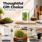 🎁2026 New Arrivals 50% OFF💥Grow Fresh Sprouts At Home – Glass Sprouting Jar Kit With Blackout Sleeve🥗