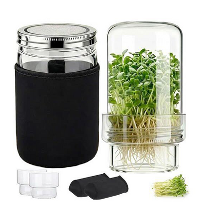 🎁2026 New Arrivals 50% OFF💥Grow Fresh Sprouts At Home – Glass Sprouting Jar Kit With Blackout Sleeve🥗
