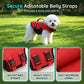 🎁2026 New Arrivals 50% OFF💥High Buoyancy Dog Life Jacket — Superior Flotation Vest for Swimming & Boating
