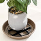 🎁2026 New Arrivals 50% OFF💥Root-Saving Pot Riser – elevates planters, promotes airflow, keeps floors clean – for indoor & outdoor use. 🔥🏠