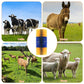 🎁2026 New Arrivals 50% OFF💥Livestock Full Massage Grooming Scratching Brush