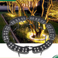 🎁2026 New Arrivals 50% OFF💥Ring-Shaped Solar Tree Lights – Weatherproof Outdoor Spotlights Ideal for Trees, Pillars, and Gardens
