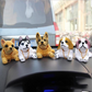 🎁2026 New Arrivals 50% OFF💥Cute Dog Bobblehead – Nods Along Every Turn – 10 Breeds, Soft Plush, Gold Chain – Brings Smiles to Every Drive 🚗