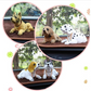 🎁2026 New Arrivals 50% OFF💥Cute Dog Bobblehead – Nods Along Every Turn – 10 Breeds, Soft Plush, Gold Chain – Brings Smiles to Every Drive 🚗