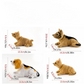 🎁2026 New Arrivals 50% OFF💥Cute Dog Bobblehead – Nods Along Every Turn – 10 Breeds, Soft Plush, Gold Chain – Brings Smiles to Every Drive 🚗