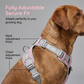 🎁2026 New Arrivals 50% OFF💥Escape-Proof Dog Harness with Top Handle – Adjustable No-Pull Vest with 3M Reflective Straps