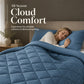 🎁2026 New Arrivals 50% OFF💥3-Piece Quilted Comforter Set with Shams