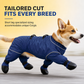 🎁2026 New Arrivals 50% OFF💥Waterproof Dog Rain Boots – Non-Slip Soles & Secure Fit for Rainy Walks ✨